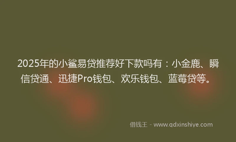 2025年的小鲨易贷推荐好下款吗有：小金鹿、瞬信贷通、迅捷Pro钱包、欢乐钱包、蓝莓贷等。
