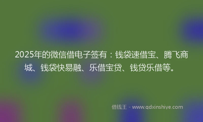 2025年的微信借电子签有：钱袋速借宝、腾飞商城、钱袋快易融、乐借宝贷、钱贷乐借等。