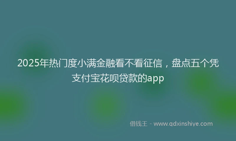 2025年热门度小满金融看不看征信，盘点五个凭支付宝花呗贷款的app
