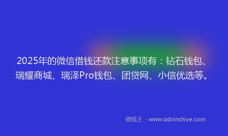 2025年的微信借钱还款注意事项有：钻石钱包、瑞耀商城、瑞泽Pro钱包、团贷网、小信优选等。
