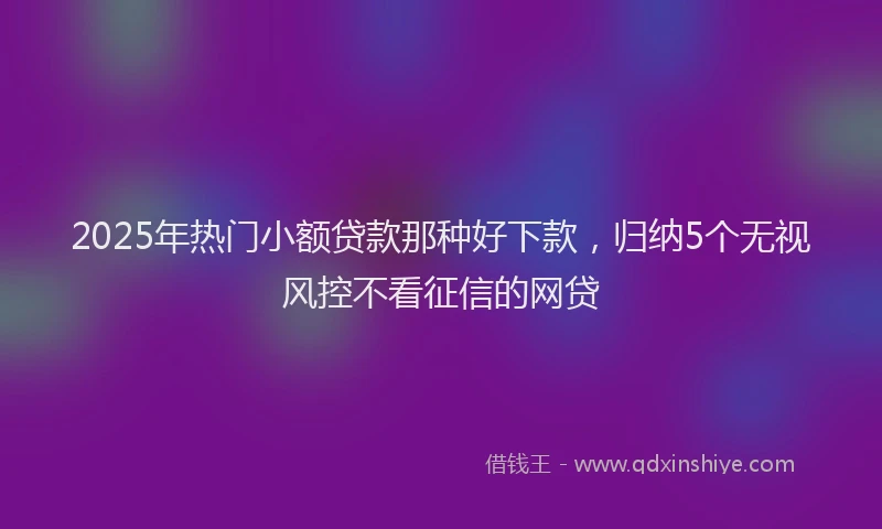 2025年热门小额贷款那种好下款，归纳5个无视风控不看征信的网贷