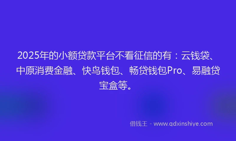 2025年的小额贷款平台不看征信的有：云钱袋、中原消费金融、快鸟钱包、畅贷钱包Pro、易融贷宝盒等。