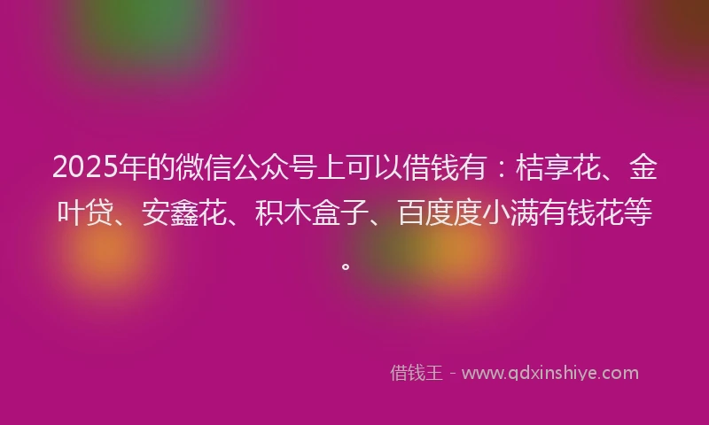 2025年的微信公众号上可以借钱有：桔享花、金叶贷、安鑫花、积木盒子、百度度小满有钱花等。