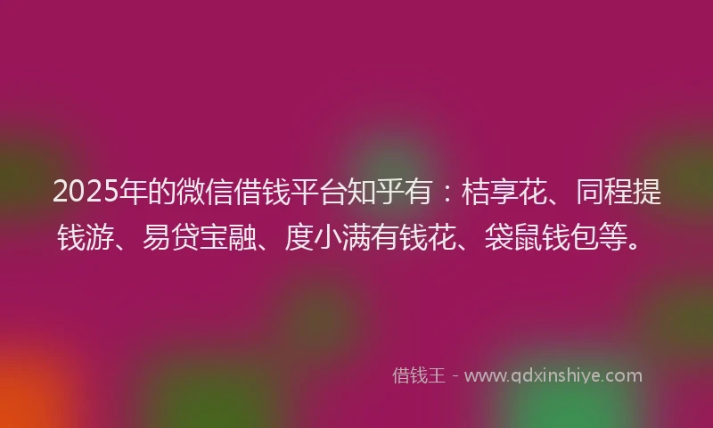 2025年的微信借钱平台知乎有：桔享花、同程提钱游、易贷宝融、度小满有钱花、袋鼠钱包等。