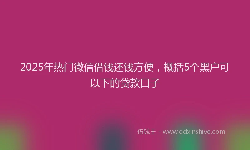 2025年热门微信借钱还钱方便，概括5个黑户可以下的贷款口子