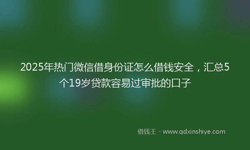 2025年热门微信借身份证怎么借钱安全，汇总5个19岁贷款容易过审批的口子