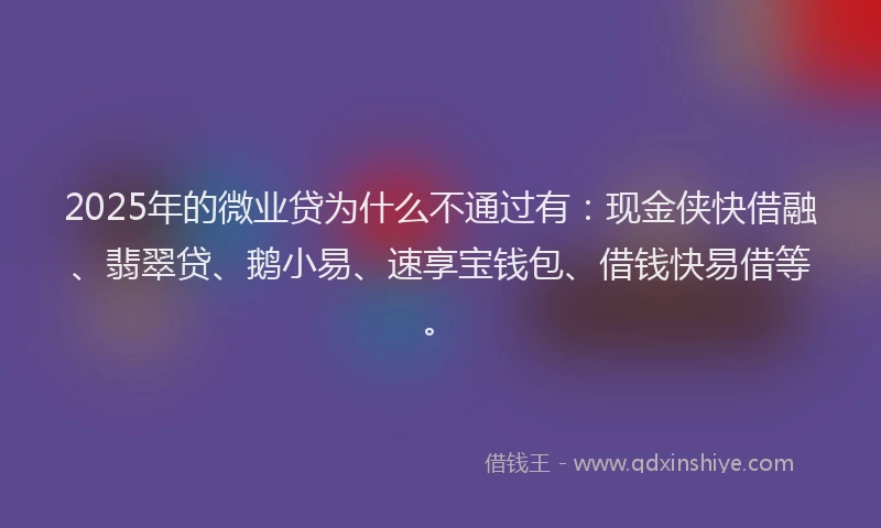 2025年的微业贷为什么不通过有：现金侠快借融、翡翠贷、鹅小易、速享宝钱包、借钱快易借等。