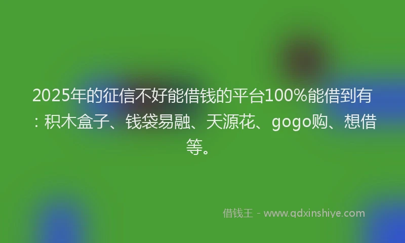 2025年的征信不好能借钱的平台100%能借到有：积木盒子、钱袋易融、天源花、gogo购、想借等。