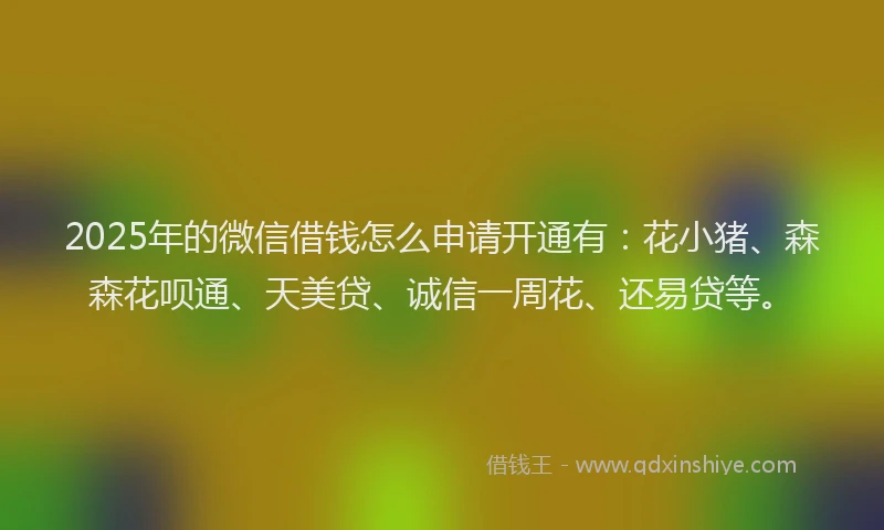 2025年的微信借钱怎么申请开通有：花小猪、森森花呗通、天美贷、诚信一周花、还易贷等。