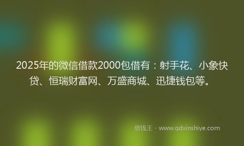 2025年的微信借款2000包借有：射手花、小象快贷、恒瑞财富网、万盛商城、迅捷钱包等。