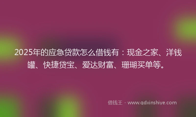 2025年的应急贷款怎么借钱有：现金之家、洋钱罐、快捷贷宝、爱达财富、珊瑚买单等。