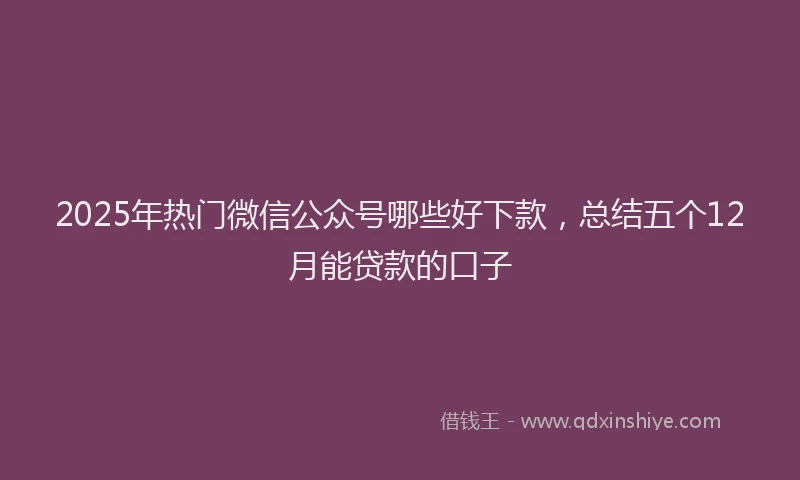 2025年热门微信公众号哪些好下款，总结五个12月能贷款的口子