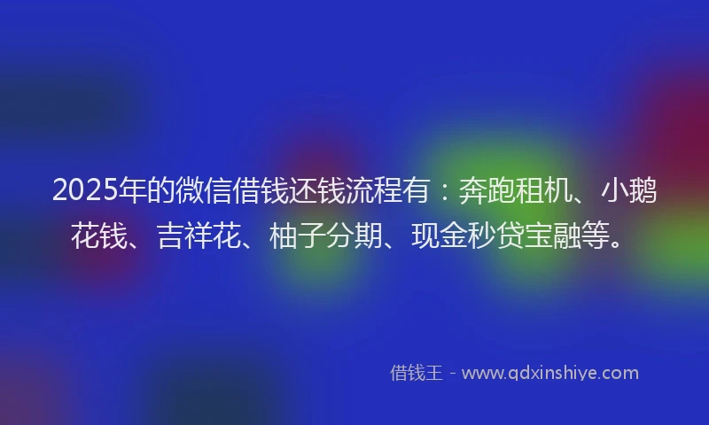 2025年的微信借钱还钱流程有：奔跑租机、小鹅花钱、吉祥花、柚子分期、现金秒贷宝融等。