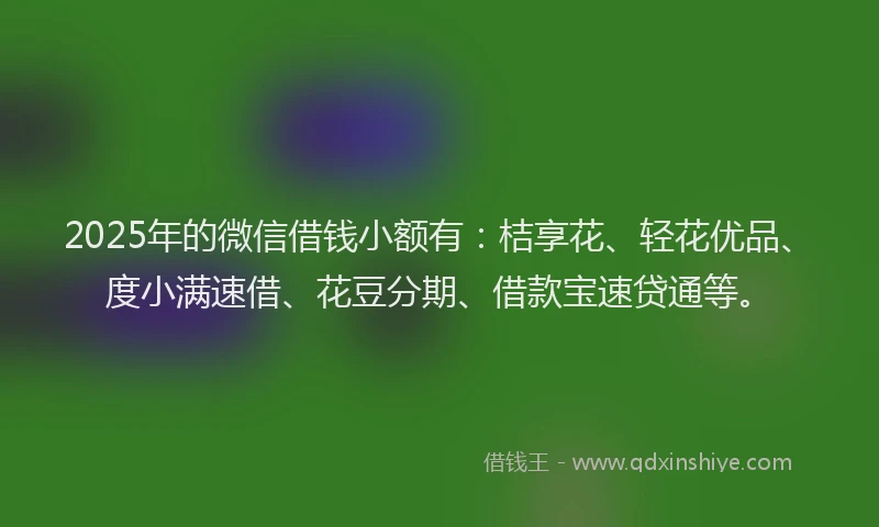 2025年的微信借钱小额有：桔享花、轻花优品、度小满速借、花豆分期、借款宝速贷通等。