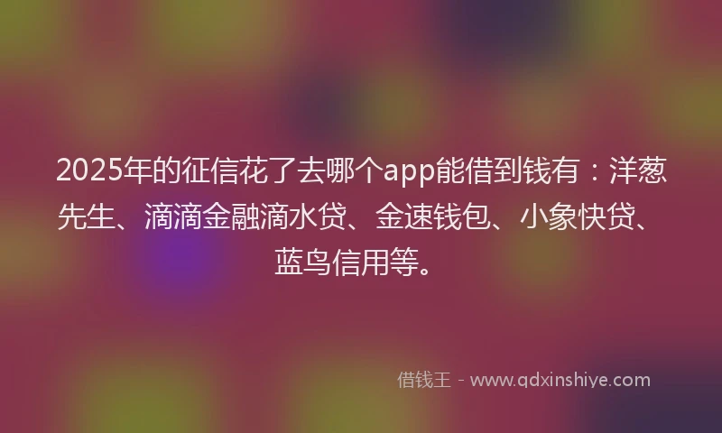 2025年的征信花了去哪个app能借到钱有：洋葱先生、滴滴金融滴水贷、金速钱包、小象快贷、蓝鸟信用等。