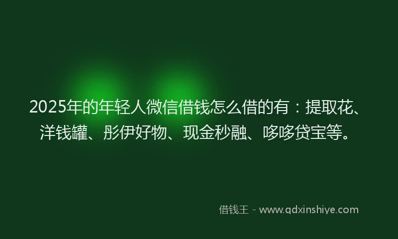 2025年的年轻人微信借钱怎么借的有：提取花、洋钱罐、彤伊好物、现金秒融、哆哆贷宝等。