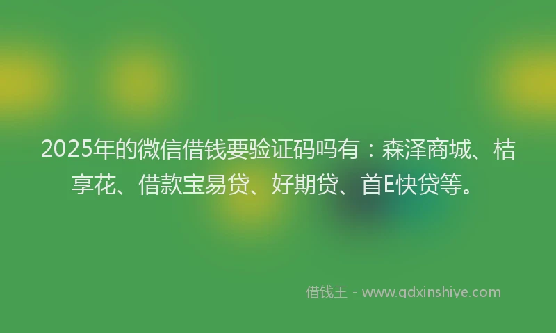 2025年的微信借钱要验证码吗有:森泽商城、桔享花、借款宝易贷、好期贷、首E快贷等。