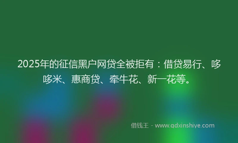 2025年的征信黑户网贷全被拒有：借贷易行、哆哆米、惠商贷、牵牛花、新一花等。