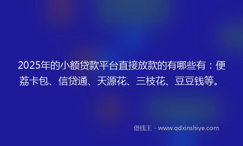 2025年的小额贷款平台直接放款的有哪些有：便荔卡包、信贷通、天源花、三枝花、豆豆钱等。