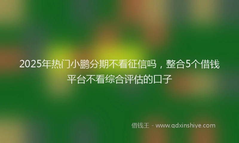 2025年热门小鹏分期不看征信吗，整合5个借钱平台不看综合评估的口子