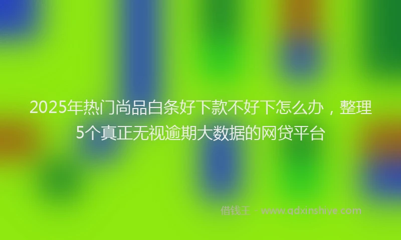 2025年热门尚品白条好下款不好下怎么办,整理5个真正无视逾期大数据的网贷平台