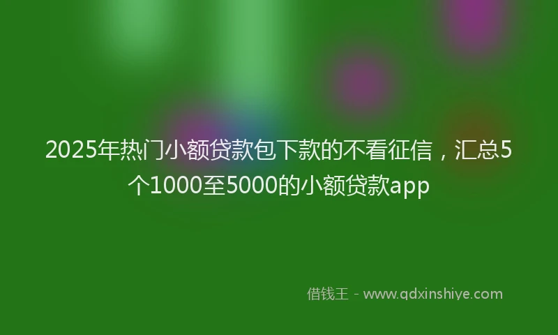 2025年热门小额贷款包下款的不看征信，汇总5个1000至5000的小额贷款app