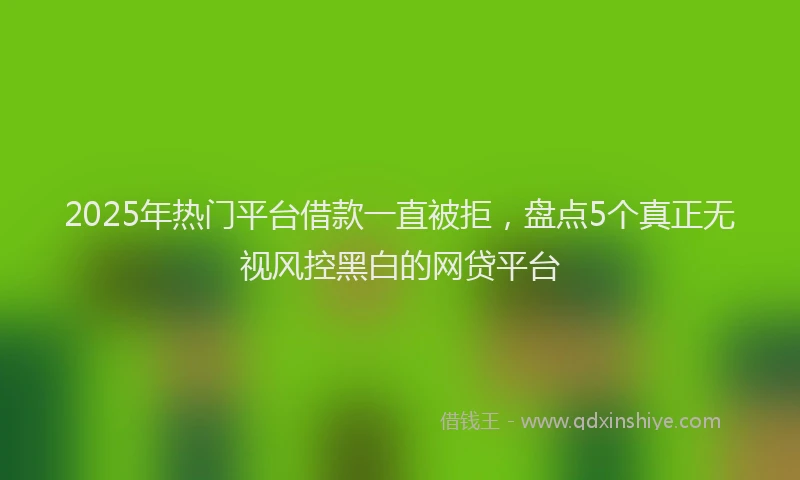 2025年热门平台借款一直被拒，盘点5个真正无视风控黑白的网贷平台
