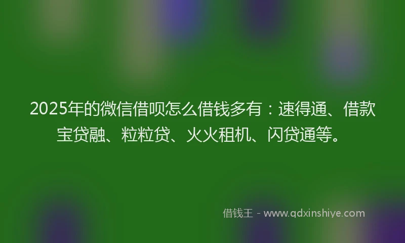 2025年的微信借呗怎么借钱多有：速得通、借款宝贷融、粒粒贷、火火租机、闪贷通等。