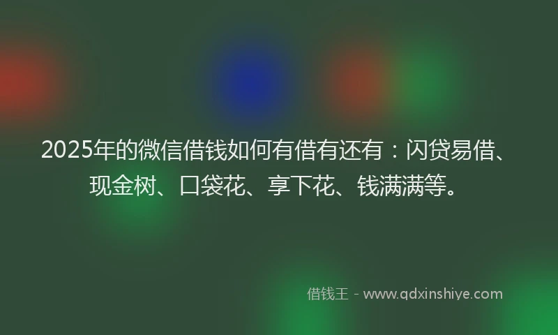 2025年的微信借钱如何有借有还有：闪贷易借、现金树、口袋花、享下花、钱满满等。