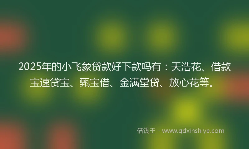 2025年的小飞象贷款好下款吗有：天浩花、借款宝速贷宝、甄宝借、金满堂贷、放心花等。