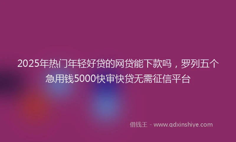 2025年热门年轻好贷的网贷能下款吗，罗列五个急用钱5000快审快贷无需征信平台