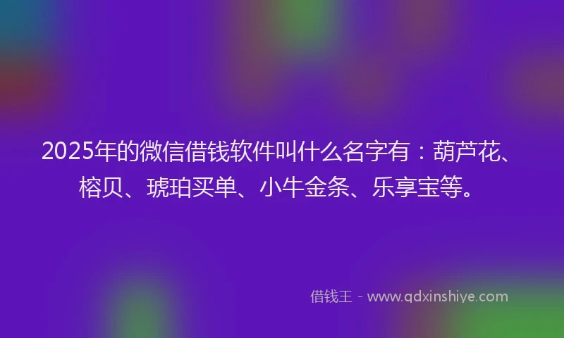 2025年的微信借钱软件叫什么名字有：葫芦花、榕贝、琥珀买单、小牛金条、乐享宝等。