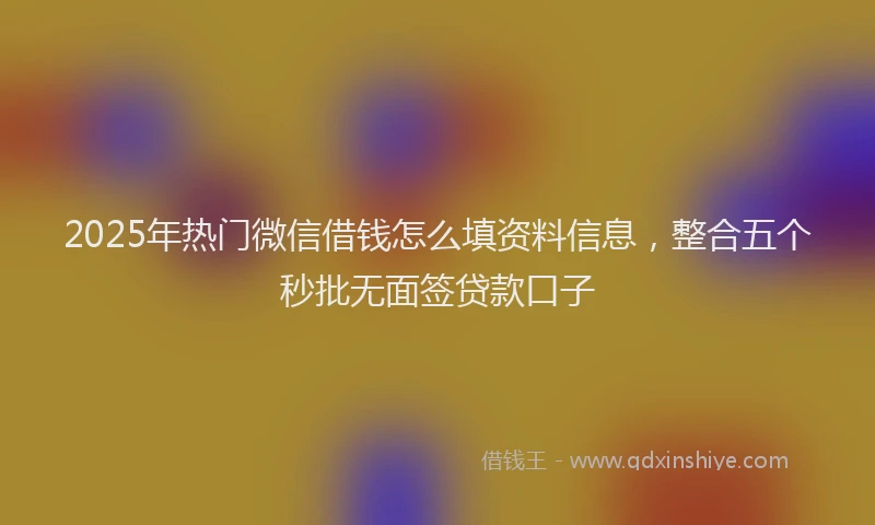 2025年热门微信借钱怎么填资料信息，整合五个秒批无面签贷款口子