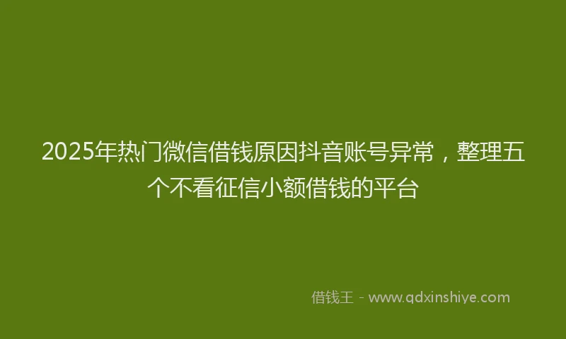 2025年热门微信借钱原因抖音账号异常，整理五个不看征信小额借钱的平台