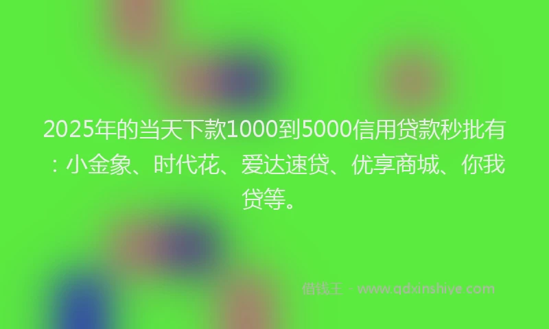 2025年的当天下款1000到5000信用贷款秒批有：小金象、时代花、爱达速贷、优享商城、你我贷等。