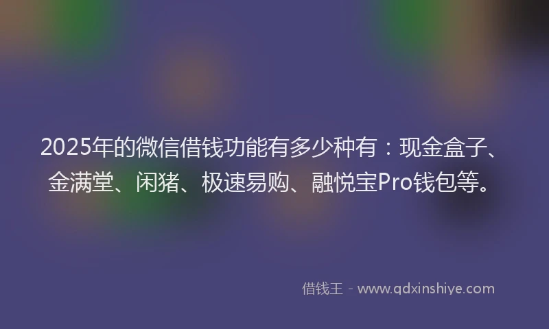 2025年的微信借钱功能有多少种有：现金盒子、金满堂、闲猪、极速易购、融悦宝Pro钱包等。