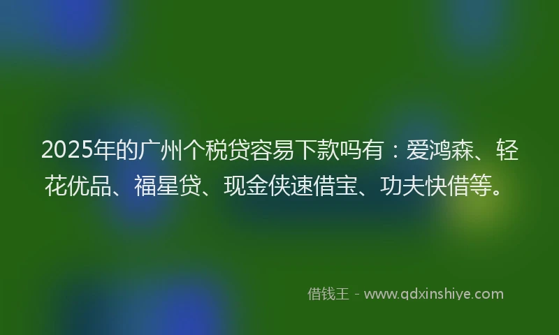2025年的广州个税贷容易下款吗有：爱鸿森、轻花优品、福星贷、现金侠速借宝、功夫快借等。