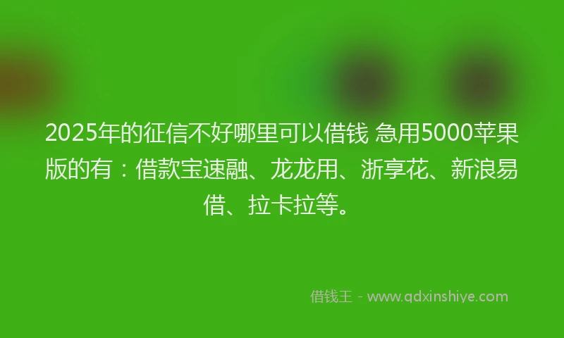2025年的征信不好哪里可以借钱 急用5000苹果版的有：借款宝速融、龙龙用、浙享花、新浪易借、拉卡拉等。