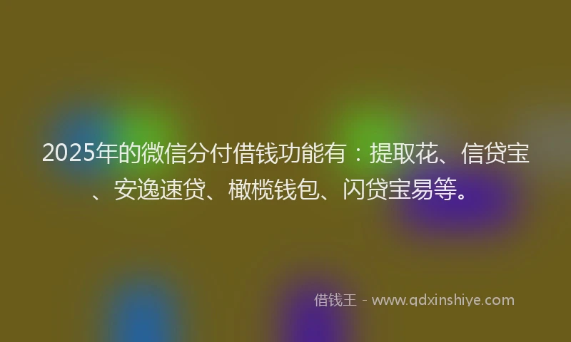 2025年的微信分付借钱功能有：提取花、信贷宝、安逸速贷、橄榄钱包、闪贷宝易等。