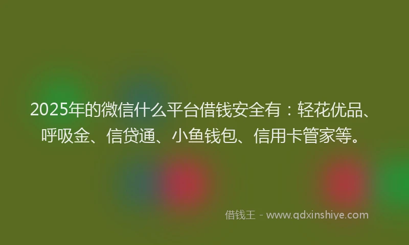 2025年的微信什么平台借钱安全有:轻花优品、呼吸金、信贷通、小鱼钱包、信用卡管家等。