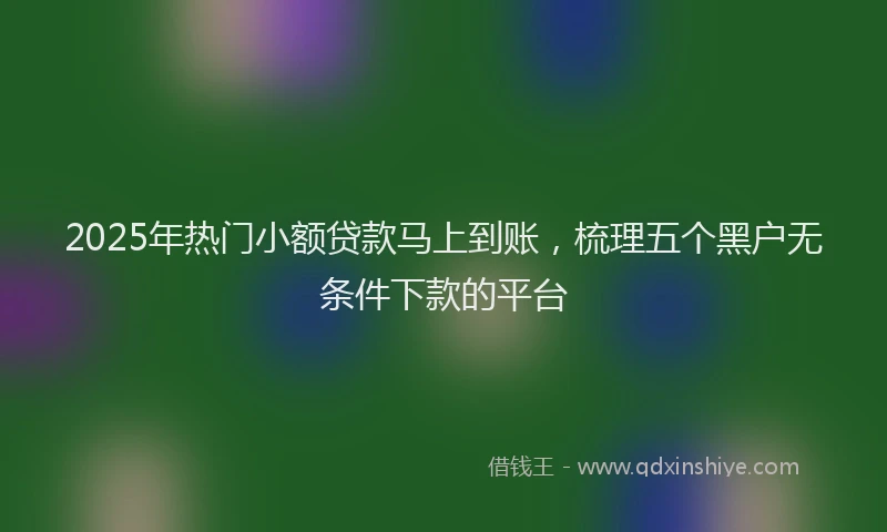 2025年热门小额贷款马上到账，梳理五个黑户无条件下款的平台