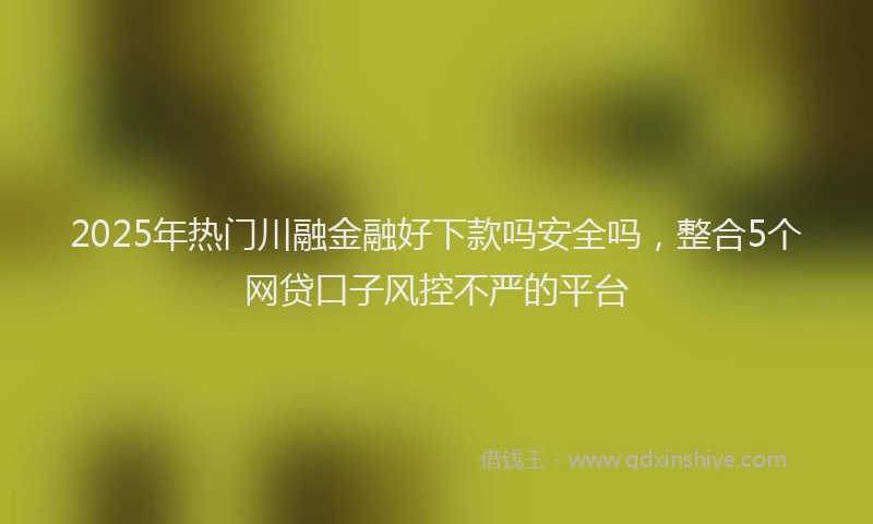 2025年热门川融金融好下款吗安全吗，整合5个网贷口子风控不严的平台
