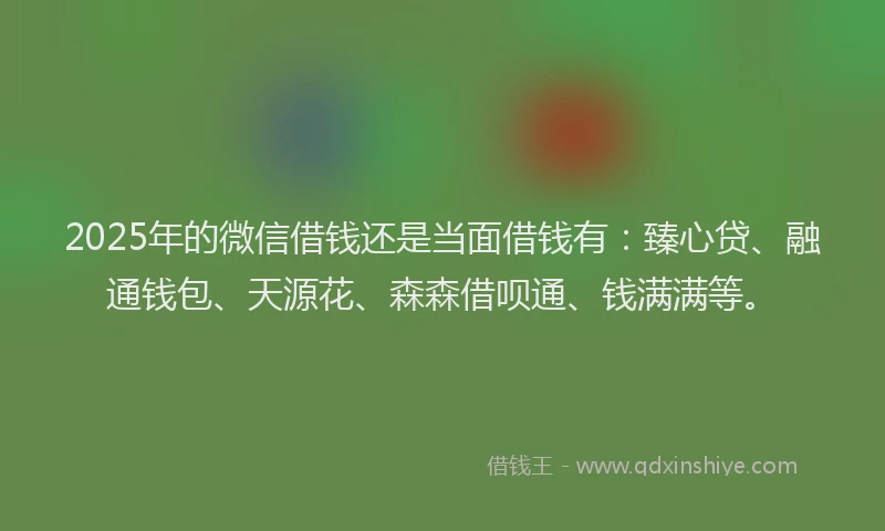 2025年的微信借钱还是当面借钱有：臻心贷、融通钱包、天源花、森森借呗通、钱满满等。