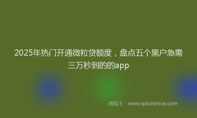 2025年热门开通微粒贷额度,盘点五个黑户急需三万秒到的的app