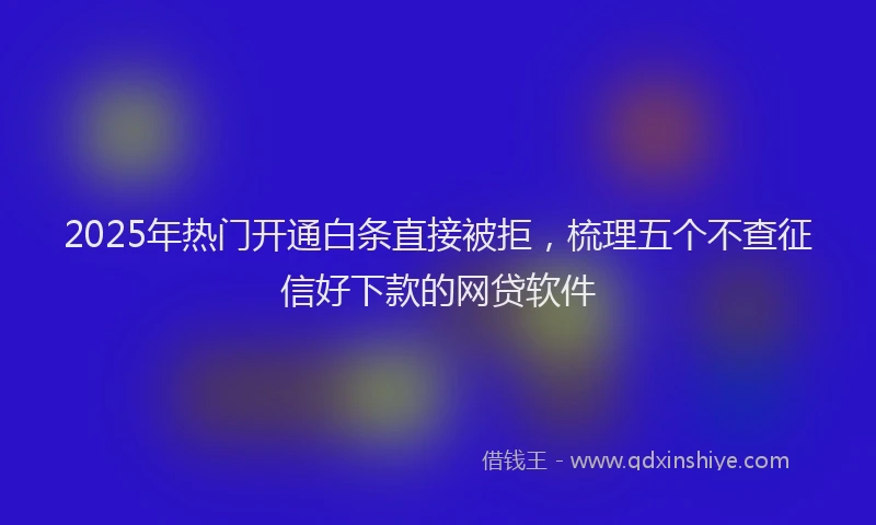 2025年热门开通白条直接被拒，梳理五个不查征信好下款的网贷软件