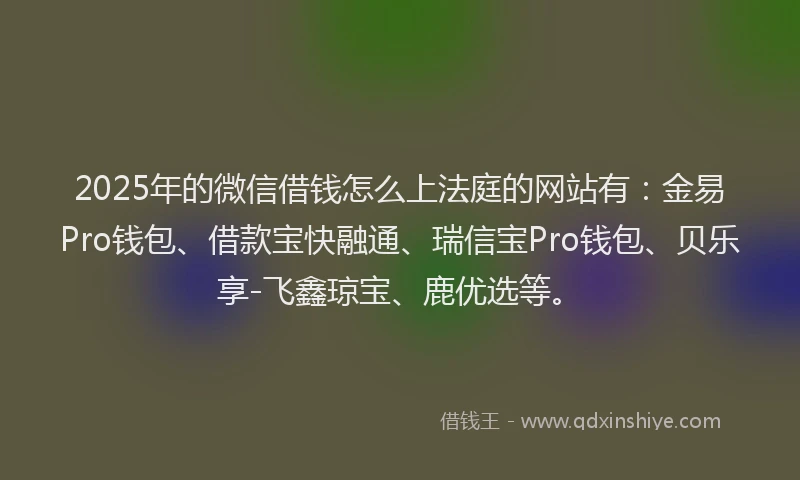 2025年的微信借钱怎么上法庭的网站有:金易Pro钱包、借款宝快融通、瑞信宝Pro钱包、贝乐享-飞鑫琼宝、鹿优选等。