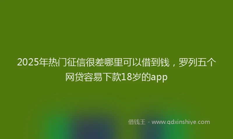 2025年热门征信很差哪里可以借到钱，罗列五个网贷容易下款18岁的app