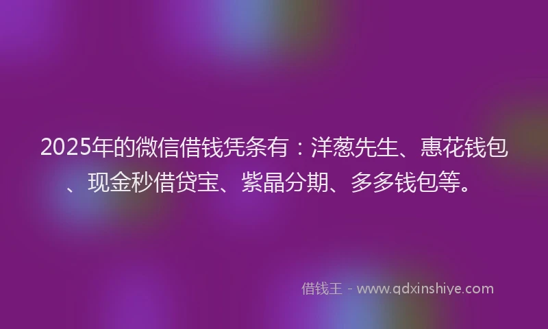2025年的微信借钱凭条有:洋葱先生、惠花钱包、现金秒借贷宝、紫晶分期、多多钱包等。