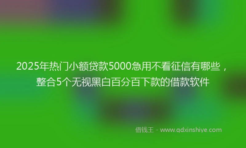 2025年热门小额贷款5000急用不看征信有哪些，整合5个无视黑白百分百下款的借款软件