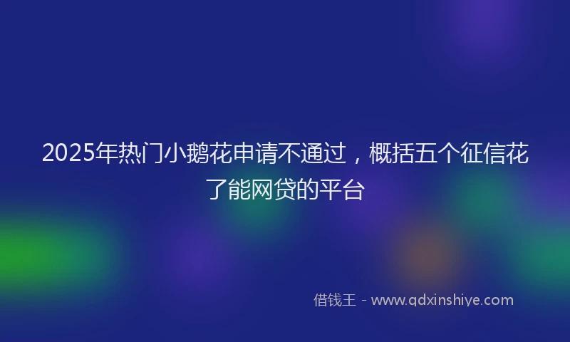 2025年热门小鹅花申请不通过，概括五个征信花了能网贷的平台